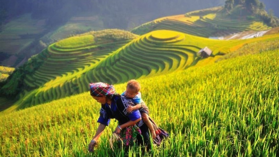 Truyện ngắn: Vượt bẩy bậc cầu thang