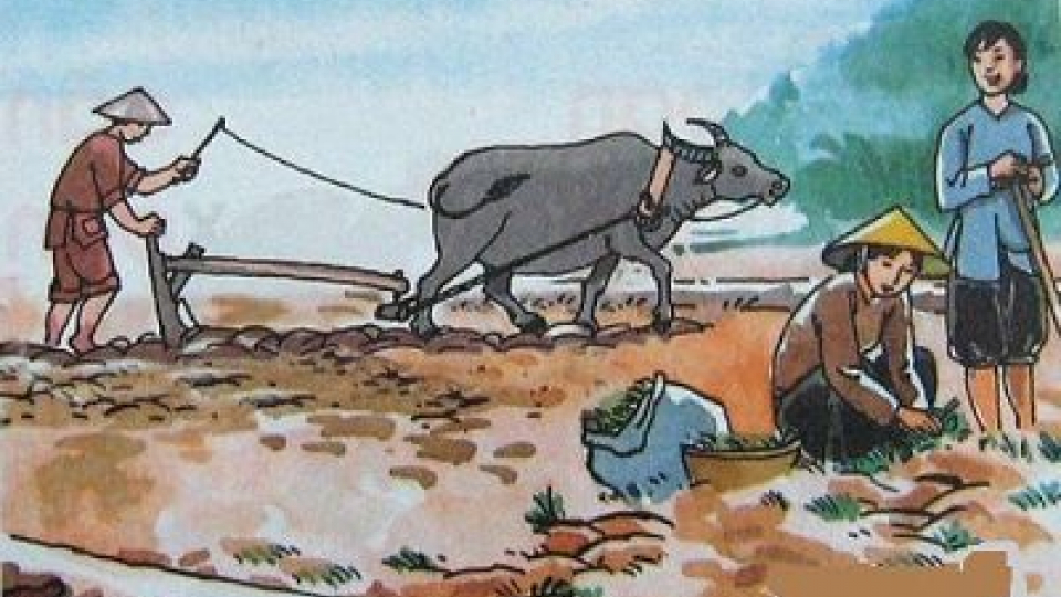 Văn hóa và Du lịch: Hình ảnh con trâu trong văn hóa việt nam