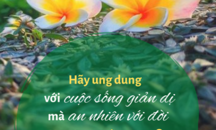 Văn hóa và Du lịch: Hãy là người phụ nữ hạnh phúc