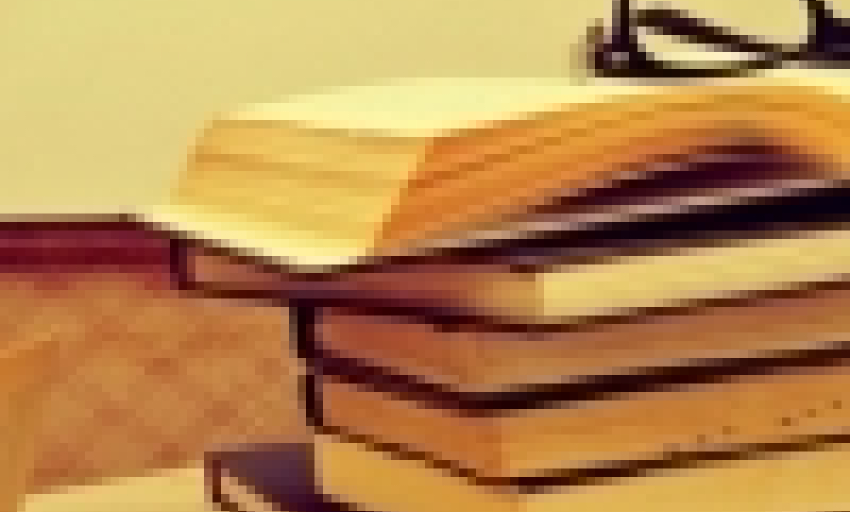 Văn hóa và Du lịch: Rực rỡ những vườn hoa ngày Tết