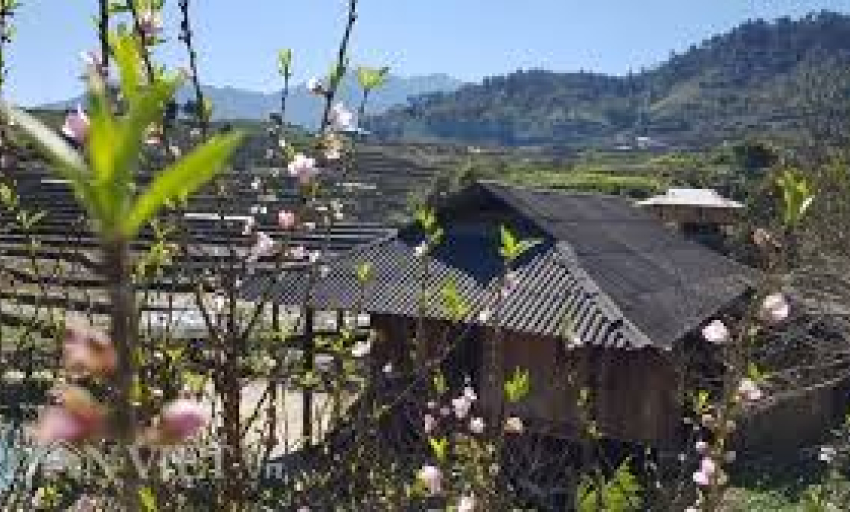 Văn hóa và Du lịch: Sắc xuân vùng cao