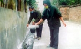 Tam Sơn chủ động phòng, chống dịch cúm gia cầm