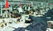 Công ty cổ phần May Đáp Cầu: Ra quân sản xuất đầu Xuân