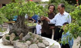 Hội thi Sinh vật cảnh Xuân Đinh Hợi 2007: Hứa hẹn nhiều bất ngờ thú vị