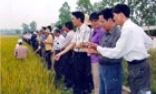 Ứng dụng tiến bộ kỹ thuật đẩy mạnh công nghiệp hoá, hiện đại hoá nông nghiệp nông thôn