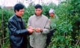 Đất chẳng phụ công người