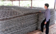 Thuận Thành: Triển khai kế hoạch phòng chống lụt bão năm 2007