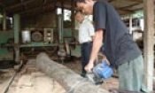 Năng động thị trấn Chờ