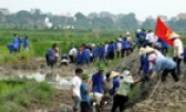 Yên Phong biểu dương gia đình hiếu học, dòng họ khuyến học