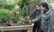 Thành phố Bắc Ninh: Khó khăn quản lý các dịch vụ văn hóa