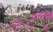 Hội thảo: Ứng dụng khoa học kỹ thuật trong sản xuất nông nghiệp