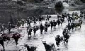 Hai triển lãm tư liệu về Mậu Thân - 1968