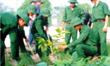 Thêm một mùa xuân xanh