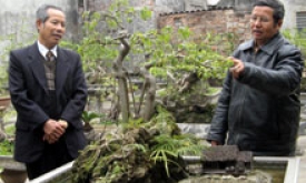 Hội Xuân 2008: Thêm giàu bản sắc quê hương