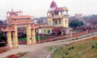 Mùa xuân mới