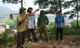 Toàn tỉnh phấn đấu năm 2008 trồng mới 40 ha rừng
