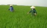 Bước chuyển mới ở Mộ Đạo
