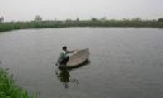 Làm giàu từ vùng đất trũng