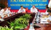 Giao ban trực tuyến phòng chống dịch bệnh tai xanh ở lợn: Dịch đang dần được kiểm soát