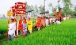 Hội Dâu, lễ hội của cư dân nông nghiệp