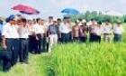 Hội Nông dân xã Tam Sơn: Nhiều giải pháp giúp nông dân phát triển kinh tế