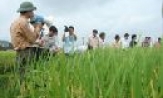Gia Bình chuyển vụ