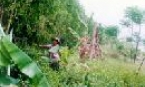 “Mô hình” cần được nhân rộng