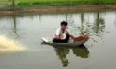 Bám đất làm giàu