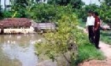 Tạo đà cho nông dân phát triển sản xuất