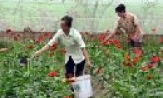 Thuận Thành nỗ lực giảm nghèo