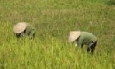 Chuyển động Tam Sơn