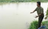 Nguyễn Văn Quý đi đầu phong trào thanh niên lập nghiệp