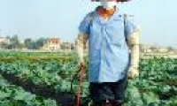 Xây dựng kinh tế nông nghiệp theo hướng CNH, HĐH