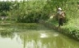 Điểm sáng Sơn Trung