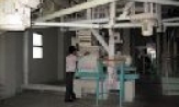 Làm ăn hiệu quả, nộp thuế nghiêm túc