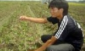 Tống Văn Thủy, chàng trai mê đất