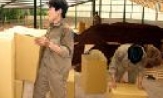 Sản xuất, xuất khẩu nông sản, thực trạng và giải pháp