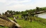 Kịp thời xử lý các tình huống do mưa lũ gây ra