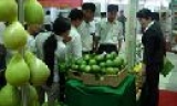 Bắc Ninh: Tham gia 2 gian hàng tại Phiên chợ giống cây trồng, vật nuôi và thiết bị nông nghiệp năm 2008 