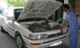 Quản lý phương tiện, người lái còn nhiều nan giải