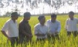 Phó Chủ tịch Thường trực UBND tỉnh Nguyễn Nhân Chiến: Kiểm tra sản xuất tại huyện Quế Võ