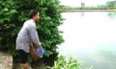 Lương Tài: Hơn 300 mô hình kinh tế trang trại