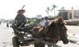 An toàn giao thông trong tỉnh tuần qua