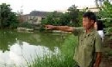 Người đánh thức đầm hoang
