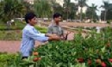 Góp phần quản lý, bảo vệ hệ thống công viên đô thị
