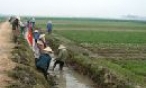 Quế Võ: Nạo vét 18.545,4m3 bùn đất trong ngày đầu ra quân