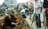 Gắn sản xuất với tiêu thụ hàng hóa nông sản