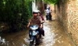 Sống cùng lũ