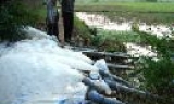 Xã Song Giang (Gia Bình) tích cực khôi phục sản xuất