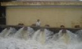Minh Tân khắc phục hậu quả mưa úng dài ngày